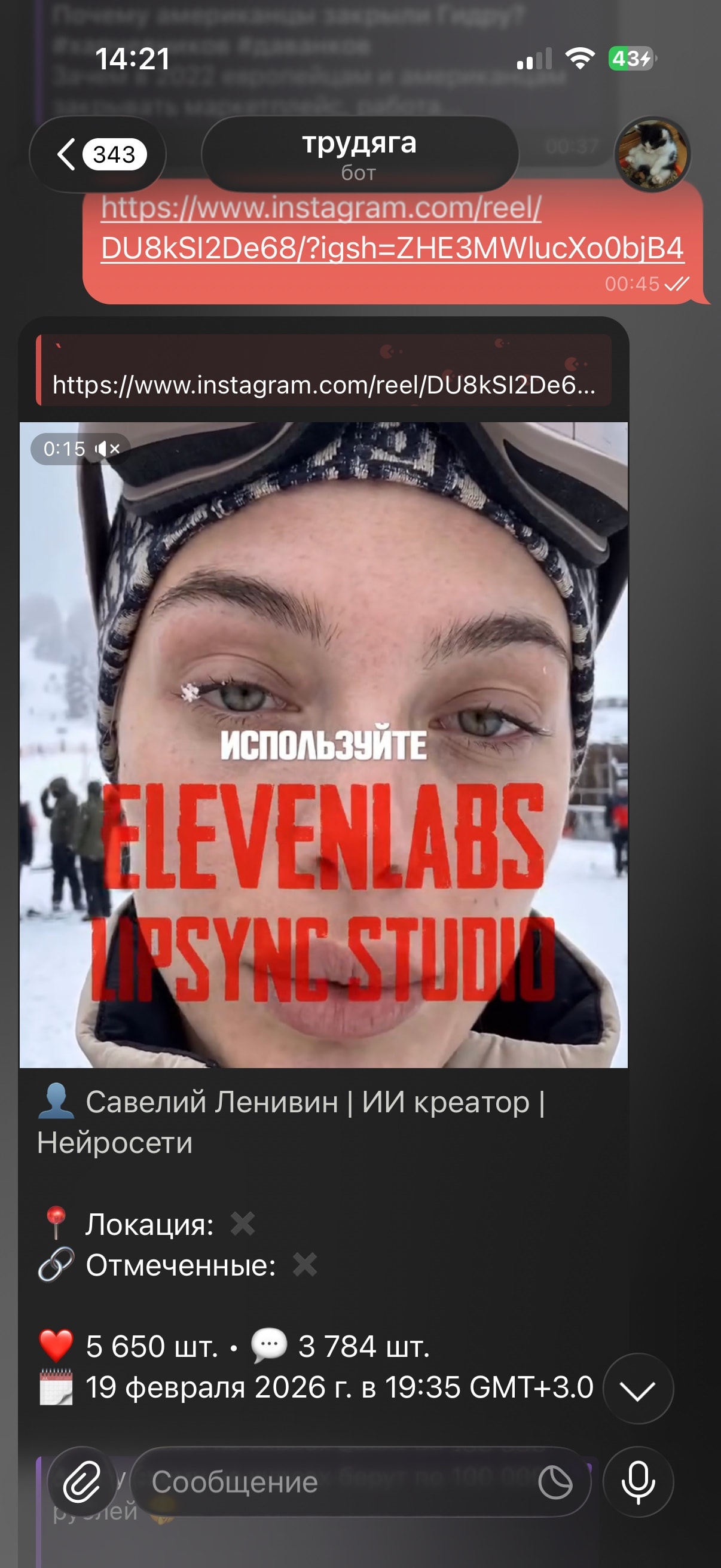 Бот для скачивания видео из соцсетей — экран 3